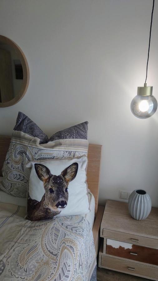 Maurers Schlierseetraum 6, Studio 455 Mit 42 Qm Neu Renoviert, Erdgeschoss Mit Eingezaeunter Terrasse In Ruhiger Lage Am Kirchbichlweg 8 Экстерьер фото
