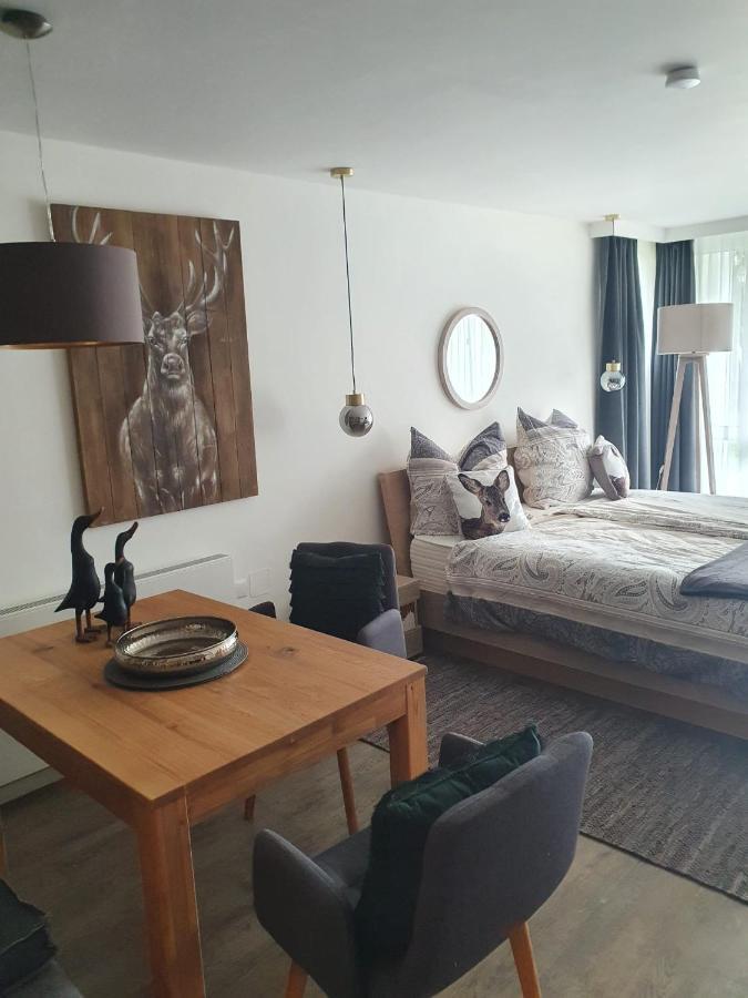 Maurers Schlierseetraum 6, Studio 455 Mit 42 Qm Neu Renoviert, Erdgeschoss Mit Eingezaeunter Terrasse In Ruhiger Lage Am Kirchbichlweg 8 Экстерьер фото